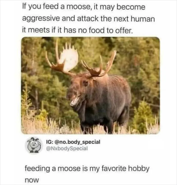 This Facebook Group Celebrates 'Cute Nopes' That Might Change Your Mind About Them (50 Pics)
