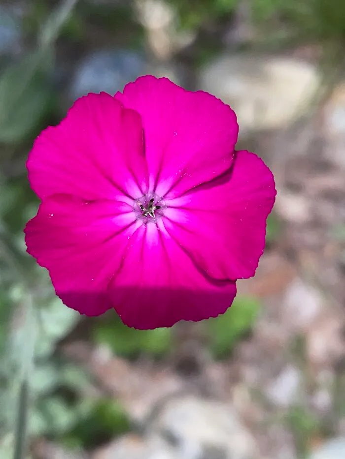 I Made A Small Collection Of My Nature Photography (18 Pics)