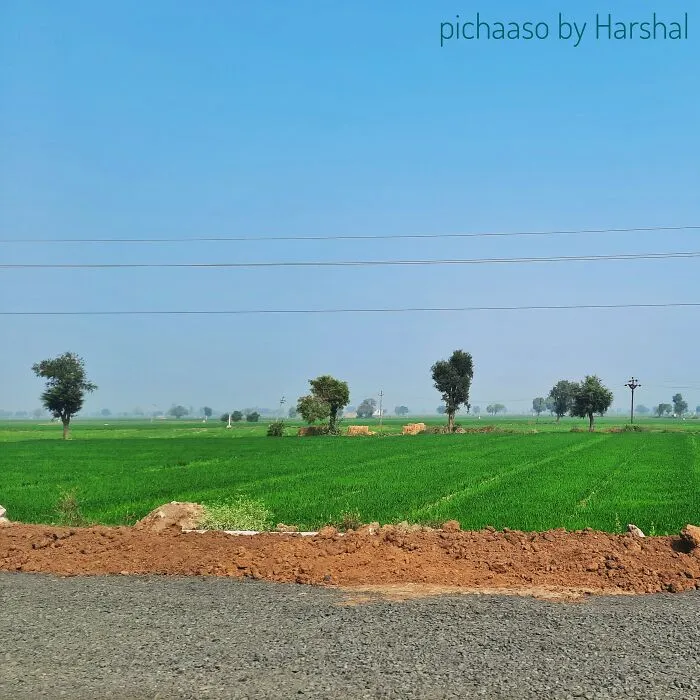 Farm India
