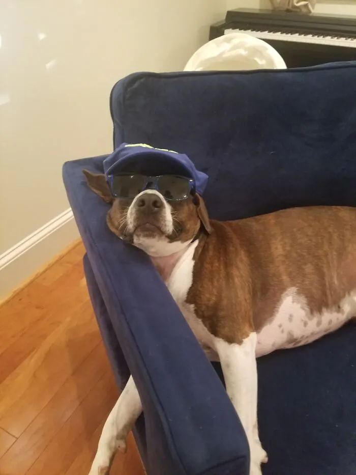 Chillin