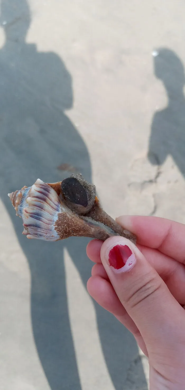 A Little Guy I Found Hanging Out In Delaware