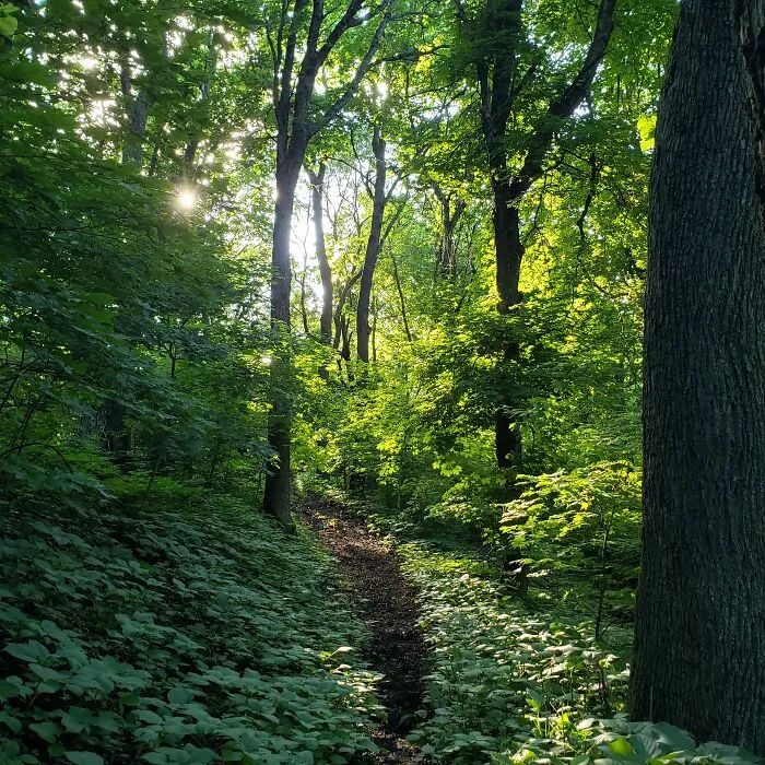 Hiking At The State Parks Around Me