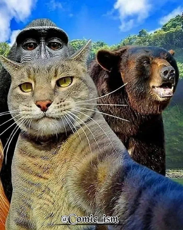 20 Totally Adorable And Hilarious Cat Selfies That Will Make You Laugh