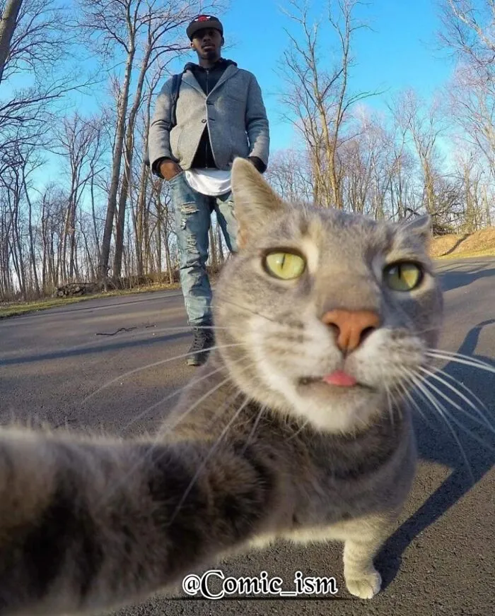 20 Totally Adorable And Hilarious Cat Selfies That Will Make You Laugh
