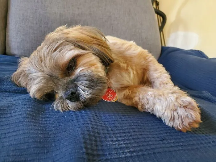 Resting After An Energetic Walk