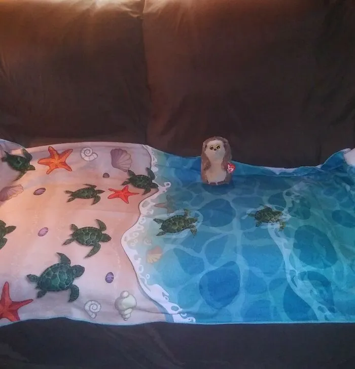 I Bought 2 Of These Beach Towels For My Godsons 2 Boys. The Hedgehog Plushie Is Just For Me, I Couldn't Resist!