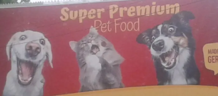 Thought These Expressions On The Billboard Ad, Resembled My Siblings Perfectly