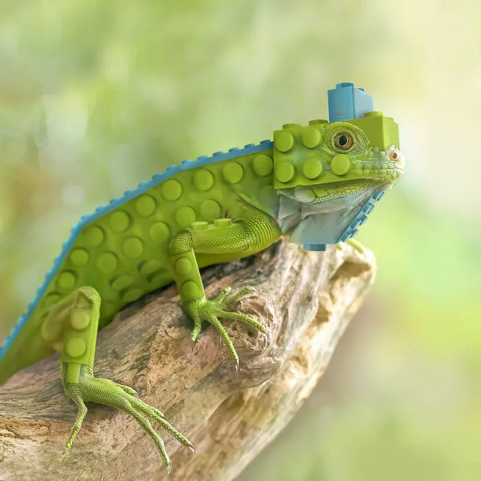 Animals Beyond Fairytale: I Make Bizarre Image Manipulations (21 Pics)