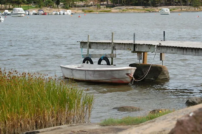 Oh, You're Afraid Of Water? Get In