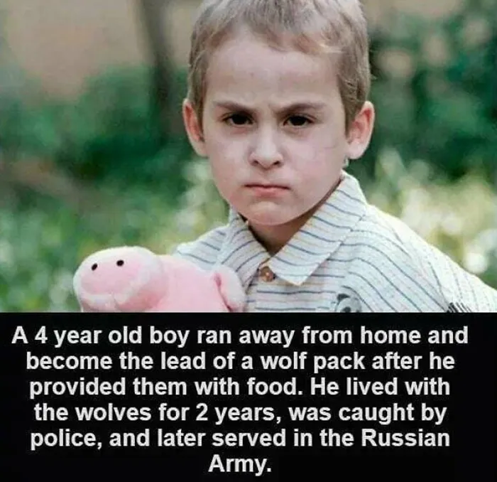 50 Random Facts That Seem Too Hard To Believe Yet Are Completely True, As Shared On This Encyclopedic Instagram Account