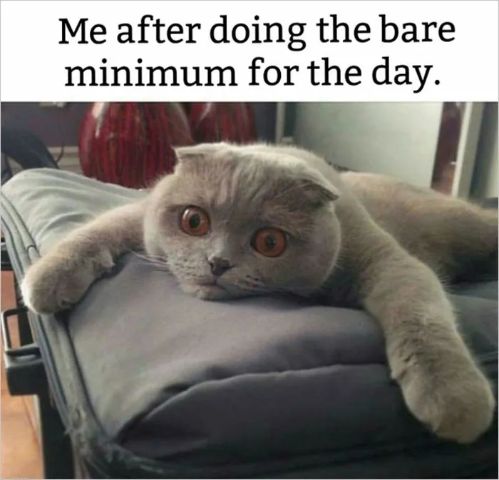 30 Student Memes That Might Make You Laugh And Cry At The Same Time, As Shared By This Dedicated Online Group