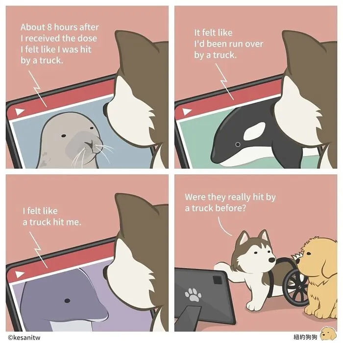 Artist Creates Comics About What It Would Be Like If Animals Were Human (26 New Pics)