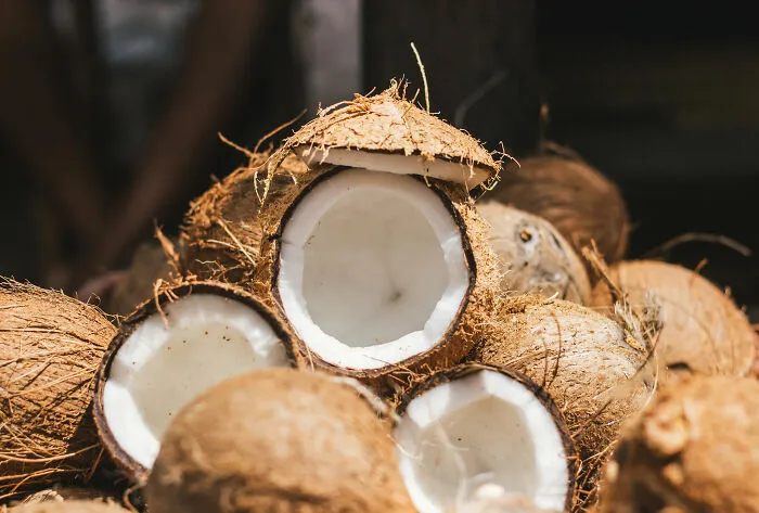 Coconut