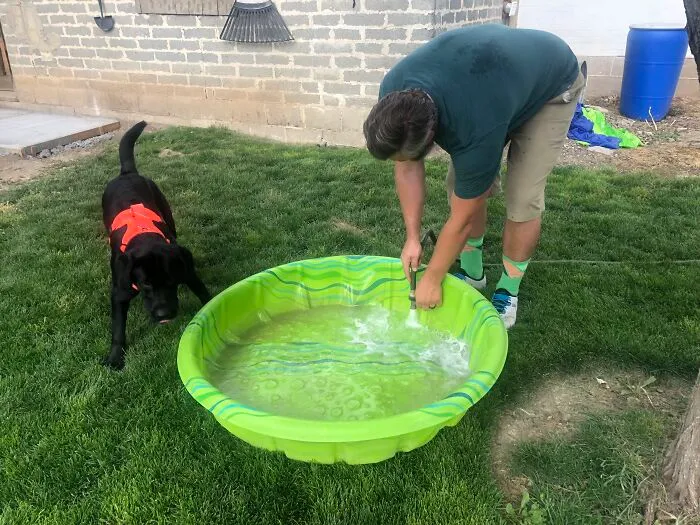 Uncle: "We Aren't Getting A Dog!" Family: *gets Dog* Uncle And Dog: