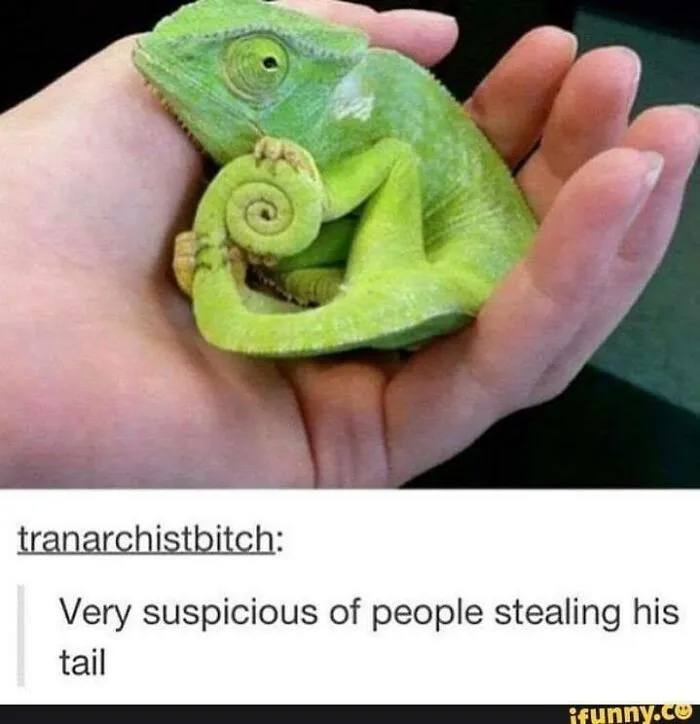 This Facebook Group Celebrates 'Cute Nopes' That Might Change Your Mind About Them (50 Pics)