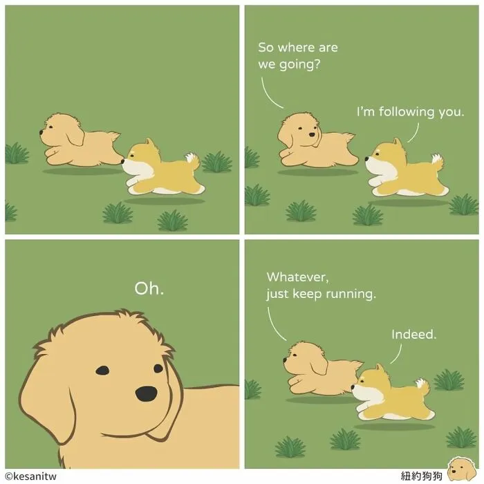Artist Creates Comics About What It Would Be Like If Animals Were Human (26 New Pics)