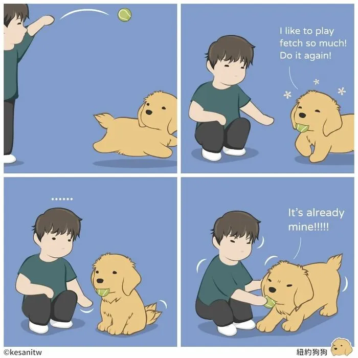 Artist Creates Comics About What It Would Be Like If Animals Were Human (26 New Pics)