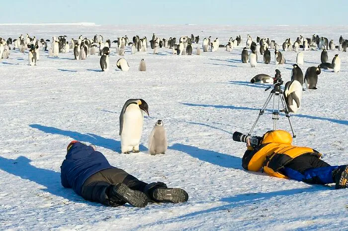 Work In Antarctica