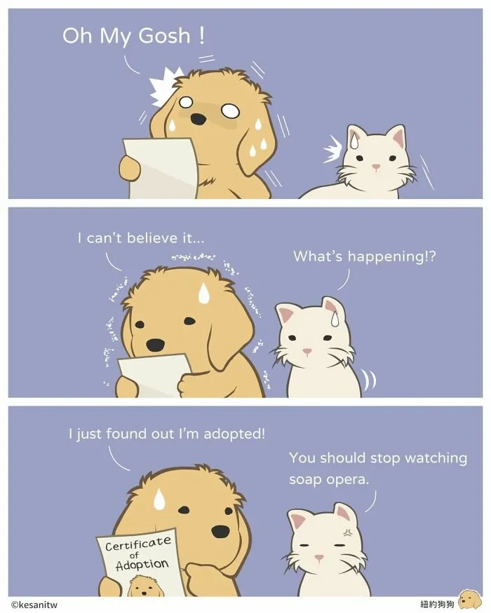 Artist Creates Comics About What It Would Be Like If Animals Were Human (26 New Pics)