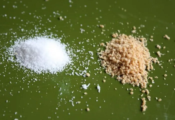 Powdered Mushroom