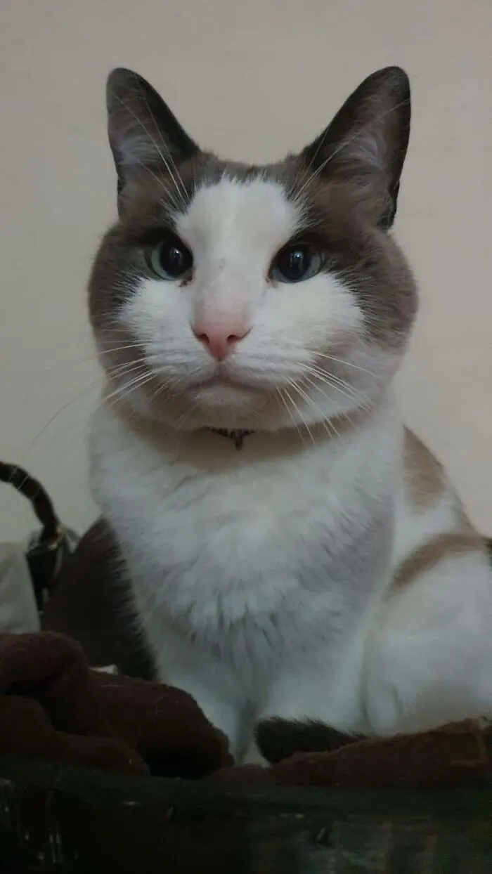 Maximilian; My Little Senior Treasure. Why This Lkind Of Treasures Aren't Forever?