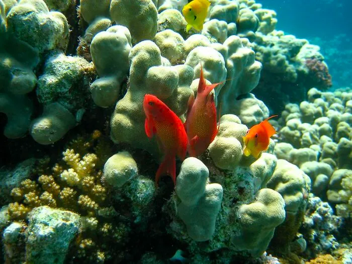 The Top 10 Feet Of The Ocean Hold As Much Heat As Our Entire Atmosphere