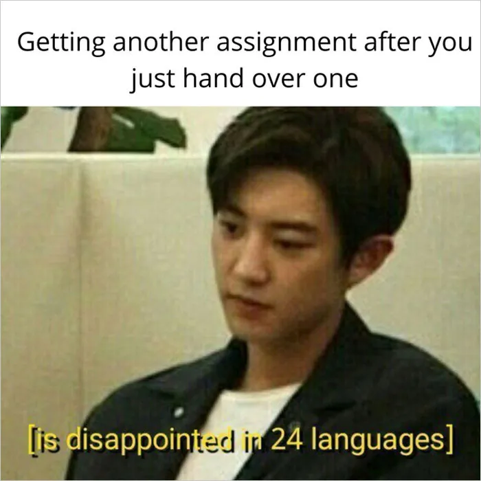 30 Student Memes That Might Make You Laugh And Cry At The Same Time, As Shared By This Dedicated Online Group