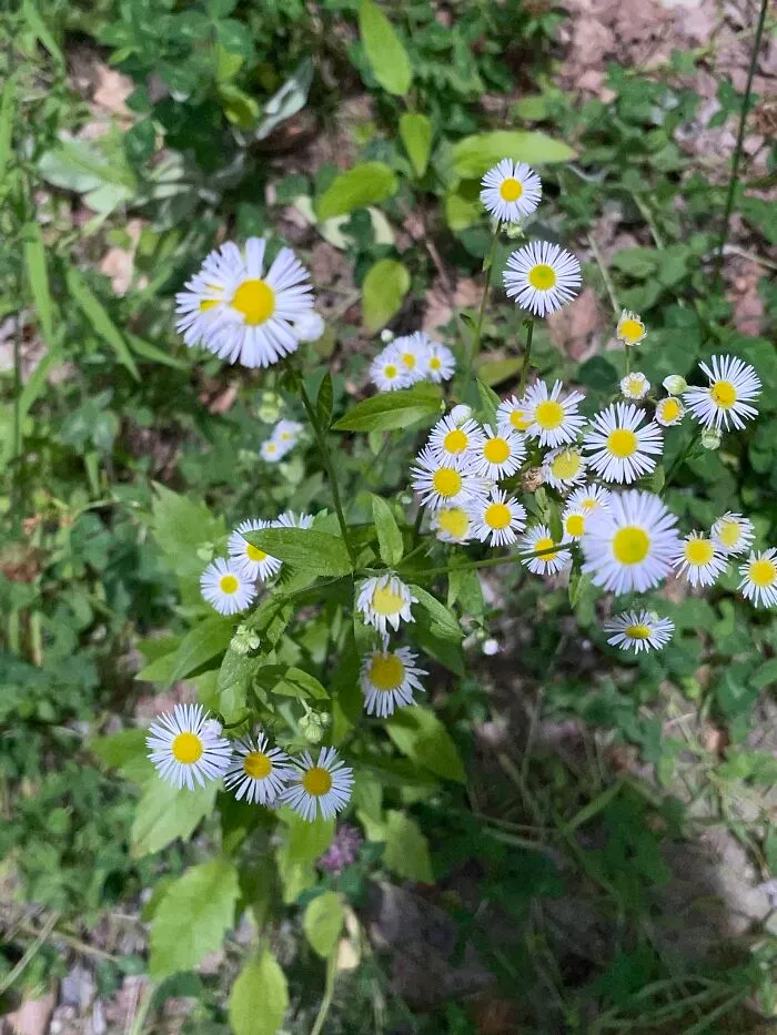 I Made A Small Collection Of My Nature Photography (18 Pics)