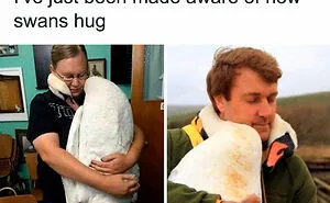 50 Times People Found Something Unbearably Wholesome And Shared It In This Group To Make People’s Day