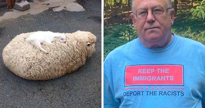 50 Times People Found Something Unbearably Wholesome And Shared It In This Group To Make People’s Day