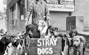 50 Of The Most Interesting Historical Photos From The “History In Pictures” Facebook Page