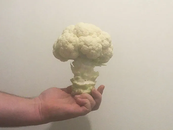 Mi coliflor parece la nube de un hongo atómico