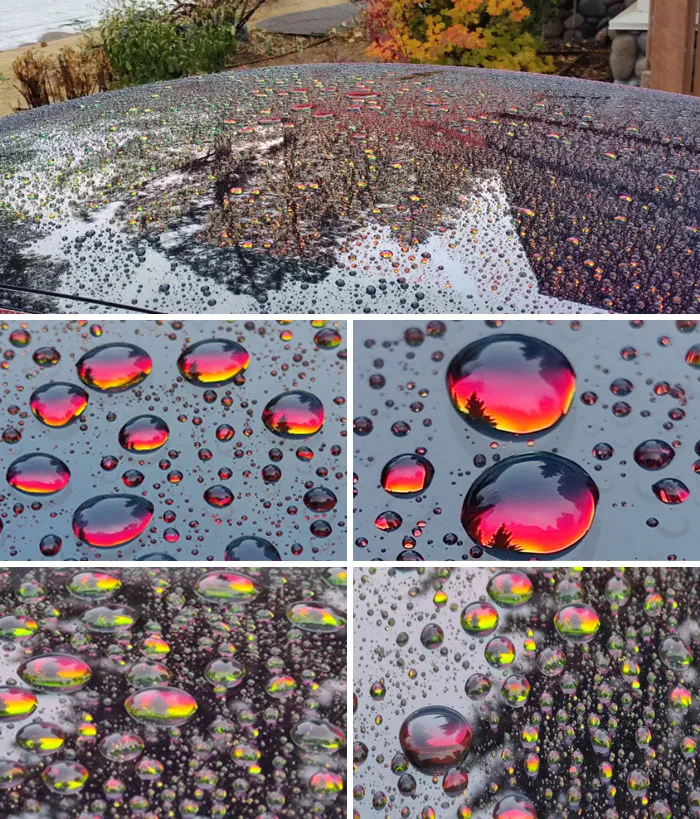 The Top Of My Car Covered In Morning Rain Looks Like A Field Of Sunset Jewels