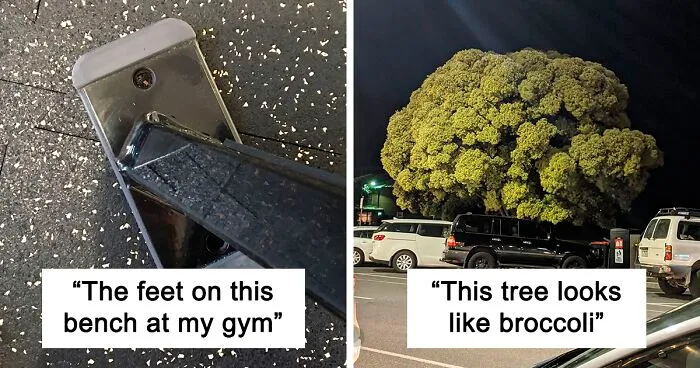 50 Times People Had To Look Twice At Things To Realize What They Were (New Pics)
