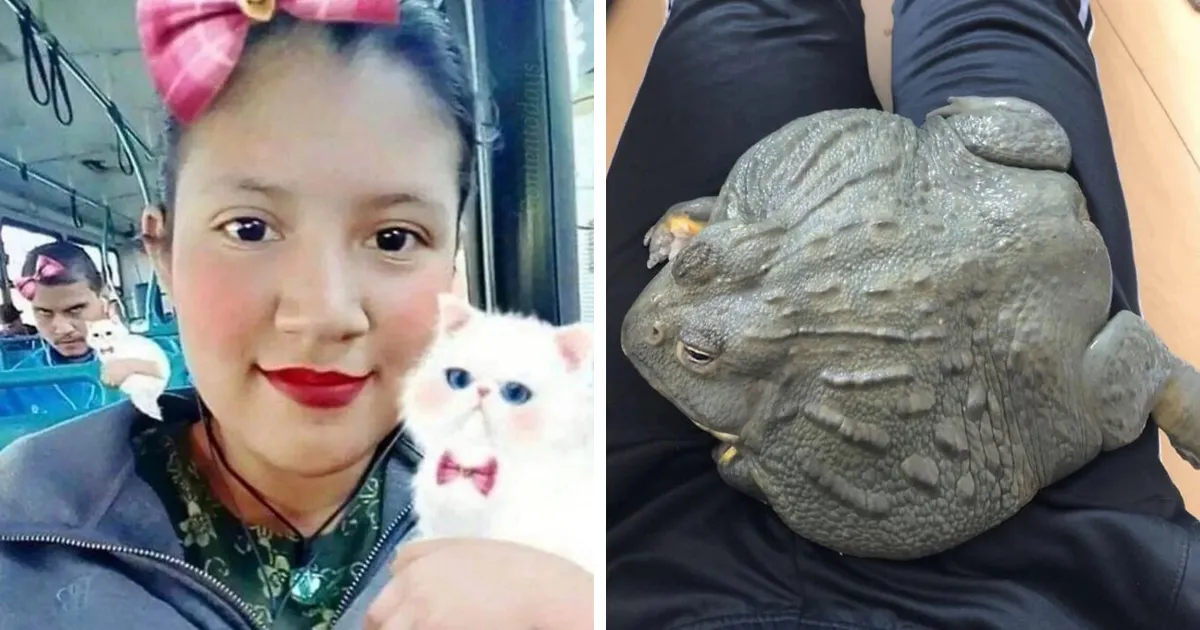 45 De las mejores publicaciones de esta página de FB que te hacen decir "hmmm"