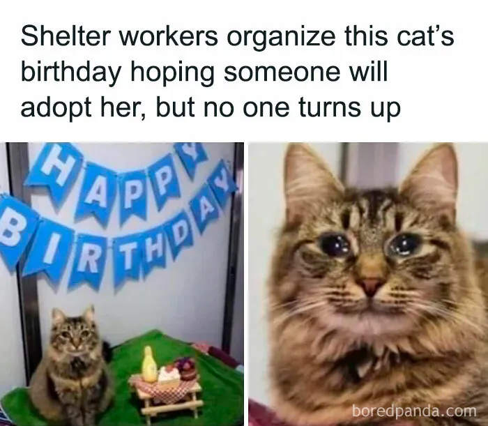 Thanks I Hate How Sad This Made Me