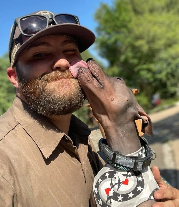 This Is Louie He’s A Hairless Only Few Month Old Austin Tx