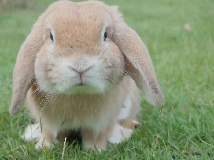 30 Things That People Regret Buying, As Shared By The Bored Panda Community
