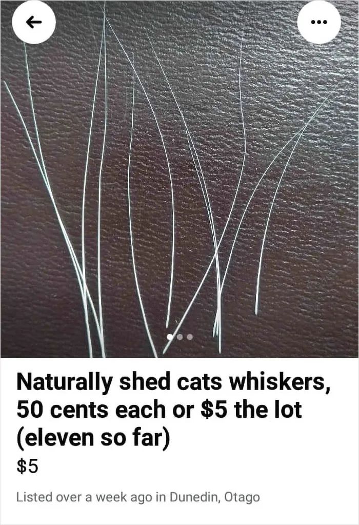 50 Times People Had Enough Of The Weird Things Getting Sold On Marketplace, Said “That's It, I'm FB Marketplace Shaming” And Shared It On This Group