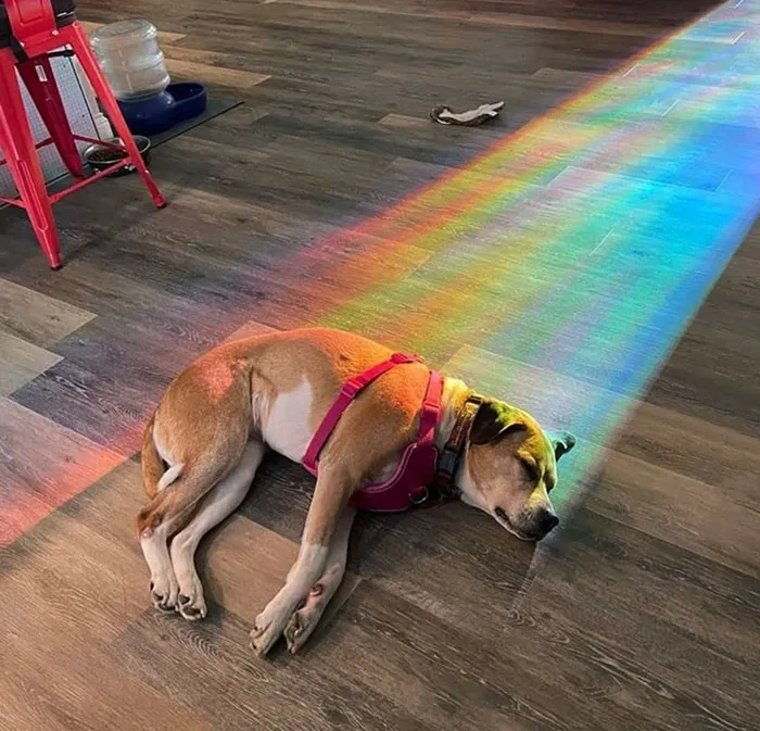 The Perfect Description Of The Treasure At The End Of The Rainbow
