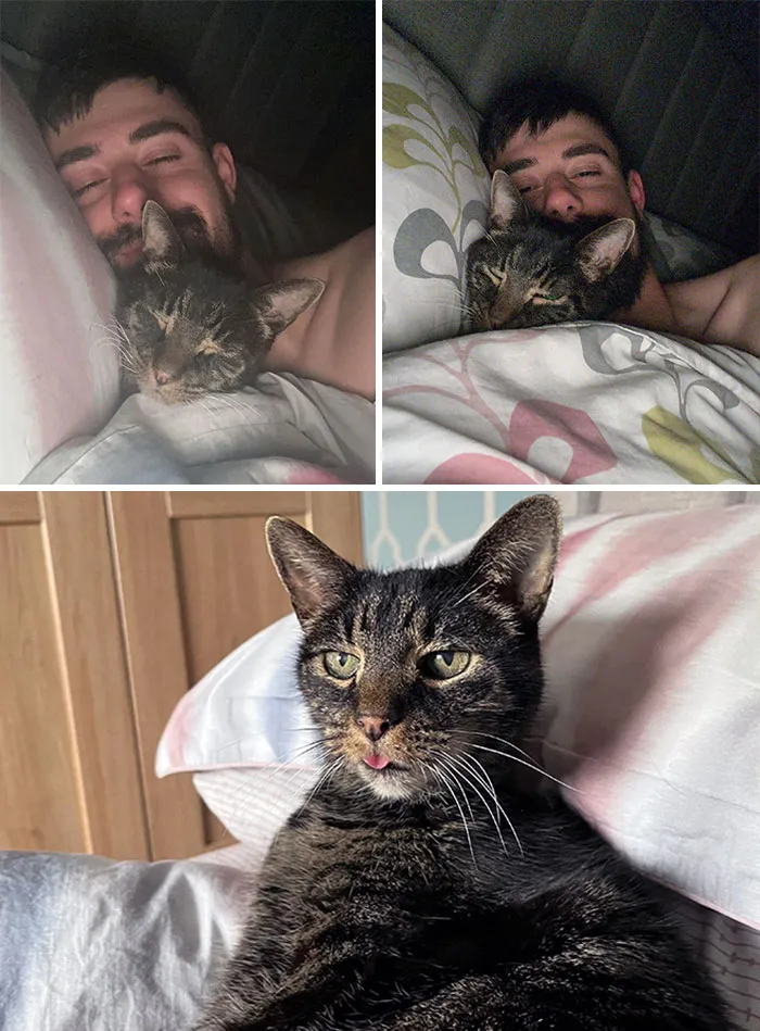 My Senior Cat Won't Let Me Sleep Unless I Spoon Him Every Night