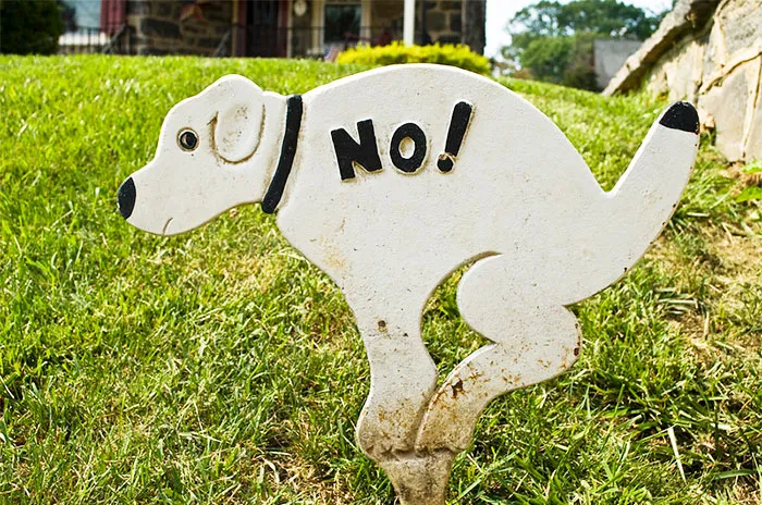 30 Personas revelan lo que les hizo decidir no tener hijos