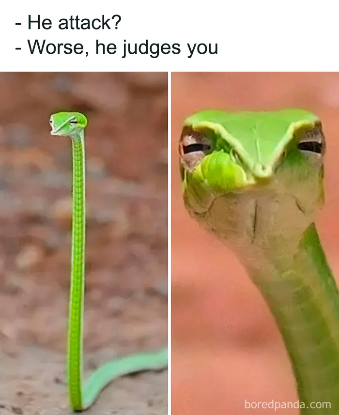 50 Funny Science Jokes And Memes That Don't Require An IQ Of 300 To Get