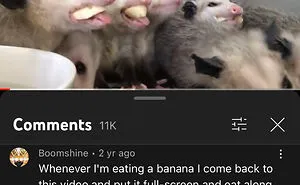 50 Times People Left Such Hilarious Comments On YouTube Videos, They Ended Up Being Better Than The Videos Themselves