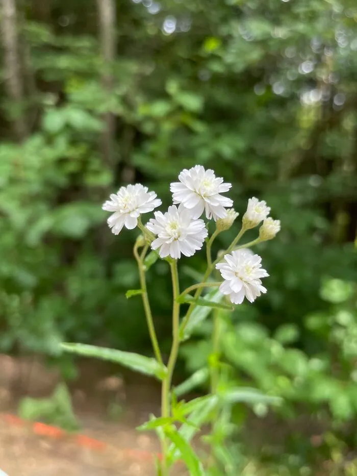 I Made A Small Collection Of My Nature Photography (18 Pics)