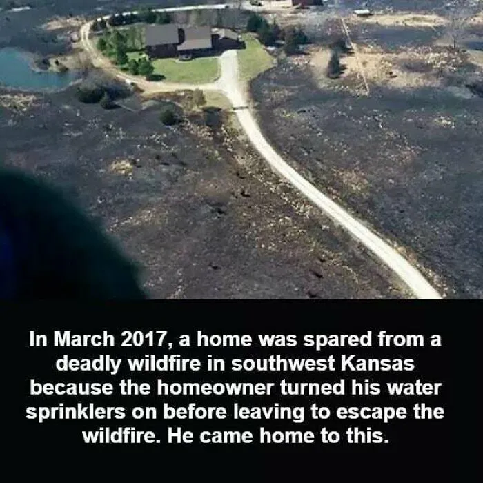 50 Random Facts That Seem Too Hard To Believe Yet Are Completely True, As Shared On This Encyclopedic Instagram Account