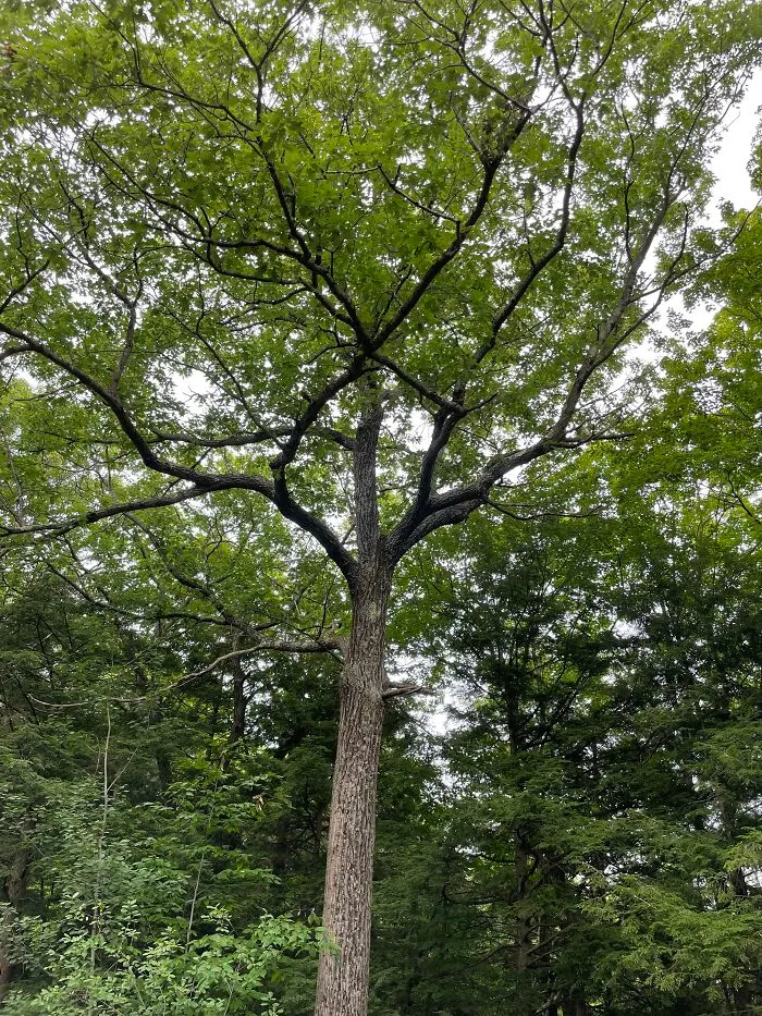I Made A Small Collection Of My Nature Photography (18 Pics)