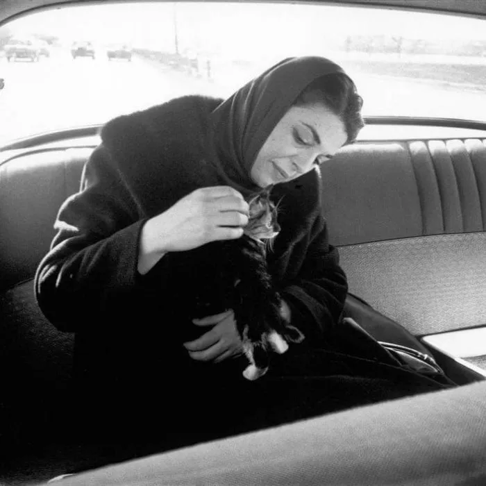 La actriz Anne Bancroft, 1960