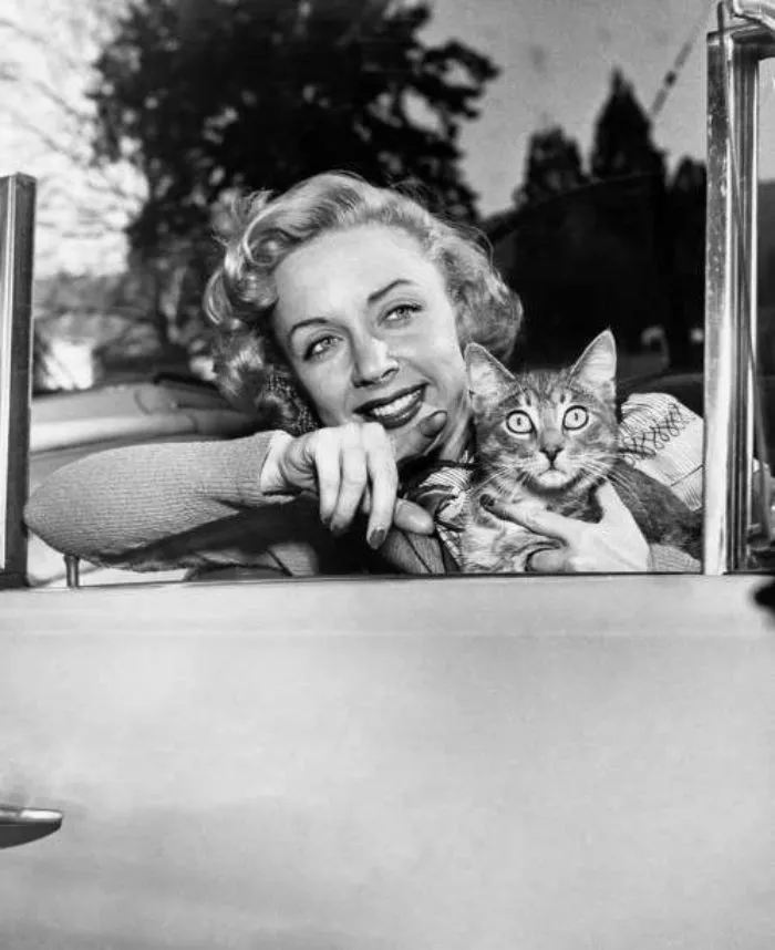 La actriz Barbra Fuller, 1955