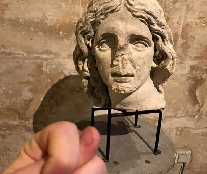 48 Geniales fotos aleatorias que no tienen ningún sentido, compartidas en esta cuenta de instagram